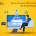 Tips to Choose SEO Company for Small Businesses