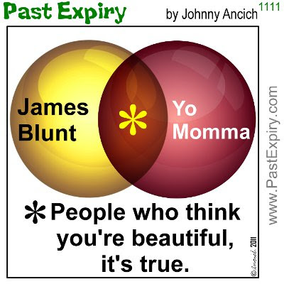 [CARTOON] James Blunt. cartoon, music, celebrity, Venn, women, relationships, 