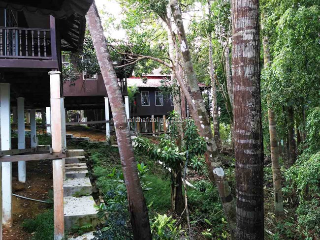 pemandangan rumah penginapan tasik kenyir