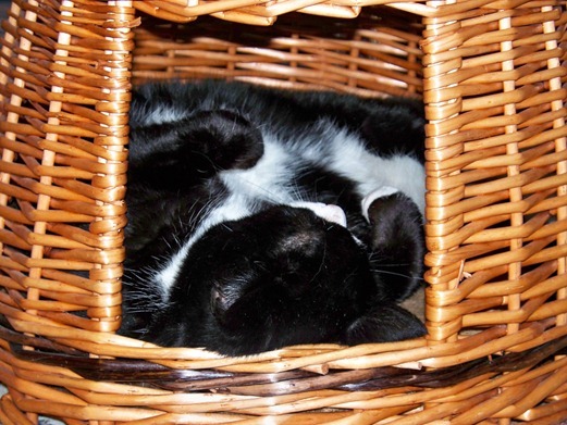 Good hiding - 2