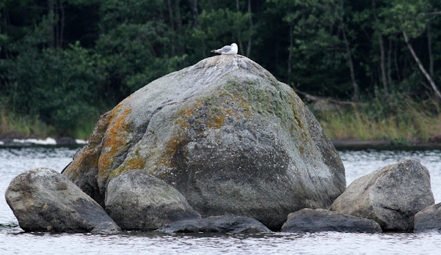 Mickelsörarna