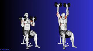 Arnold press