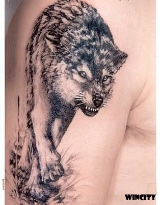 wolf tattoo