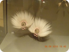 DSCN8470