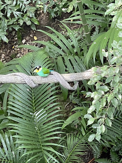 香港パークのバード園