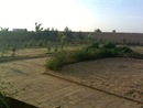IMG0669A