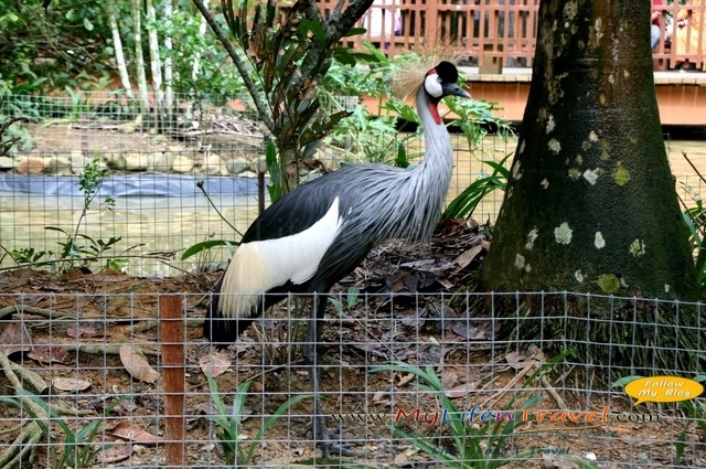 Langkawi Wildlife Park