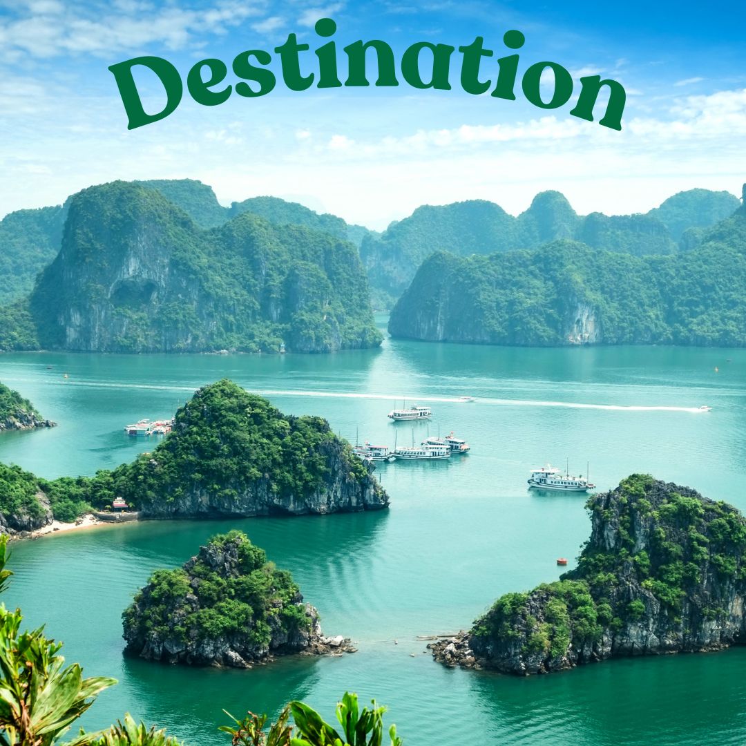 Reasons to Choose Vietnam as your Next Holiday Destination