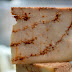 Ιωάννινα: Όταν το τυρί «παντρεύεται» με τη σοκολάτα - Ένα παράξενο, αλλά ξεχωριστό νέο προϊόν