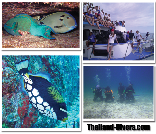 thailand diving,phuket thailand,scuba diving,thai,diving,divers,dive,scuba,phuket,thailand,similan islands