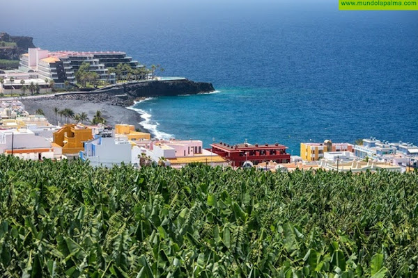 García Leal recuerda que el presente y el futuro de La Palma pasa por la reactivación de Puerto Naos