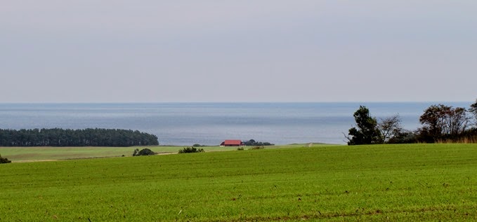 I Havängstrakten 078