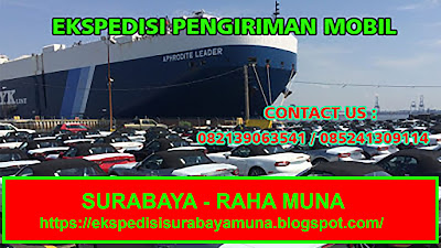 EKSPEDISI PENGIRIMAN MOBIL [PICK UP, TRUK CDD, FUSO, TRONTON, TRAILER, DUMP TRUCK] SURABAYA RAHA MUNA SULAWESI TENGGARA MURAH