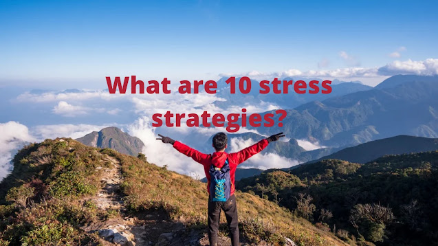 10 ways in which to scale back traveling Stress