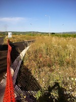 Photo 18-05-12 08 12 51