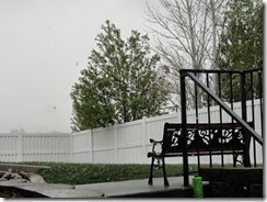 DSC03275