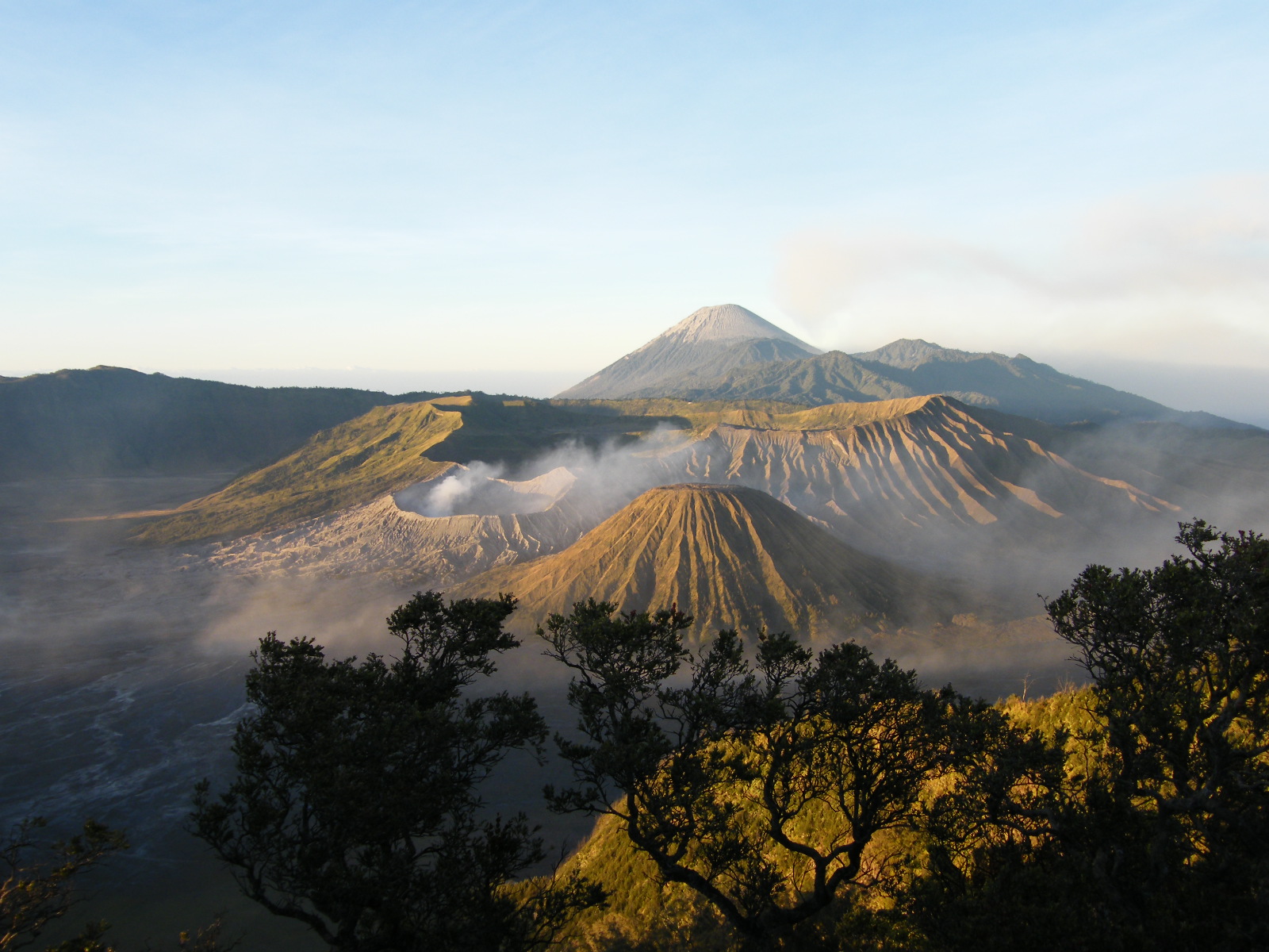 CECEP ASIANA SIANTARA GUNUNG  BROMO Galery Jawa Timur