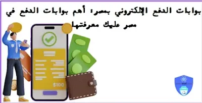 بوابات الدفع الإلكتروني بمصر: أهم بوابات الدفع في مصر عليك معرفتها