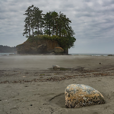 Low Tide, Tongue Point