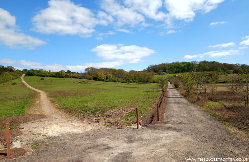 Two paths near Daws Hill