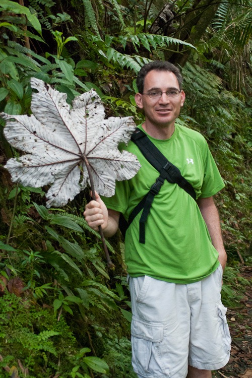 El Yunque Rainforest blog-29