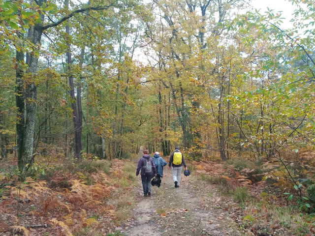 Walking in forest, Indre et Loire, France. Photo by Loire Valley Time Travel.