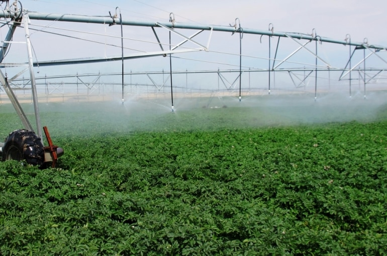 Potato Water Requirements and Irrigation Systems