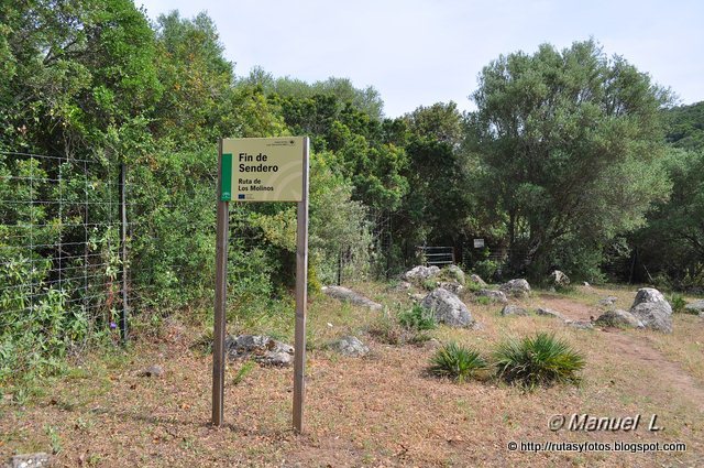 Canuto del Montero