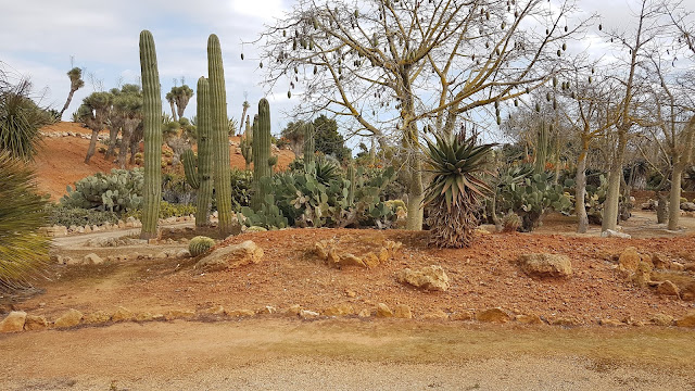 Botanicactus Botanischer Garten Mallorca