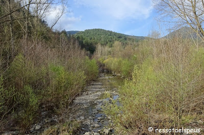 Volta a la serra de Bestracà