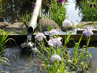 山田池公園・花しょうぶ園