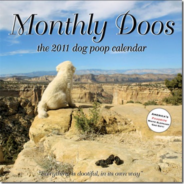 2011Cover