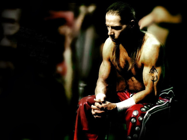 Shawn Michaels Hd Wallpapers Free Download