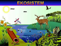 Ekosistem (Pengetian, Komponen, Interaksi, Tipe/Macam dan 