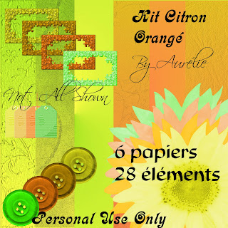 http://aureliegimp974.blogspot.com/2009/04/premier-kit-citron-orange.html