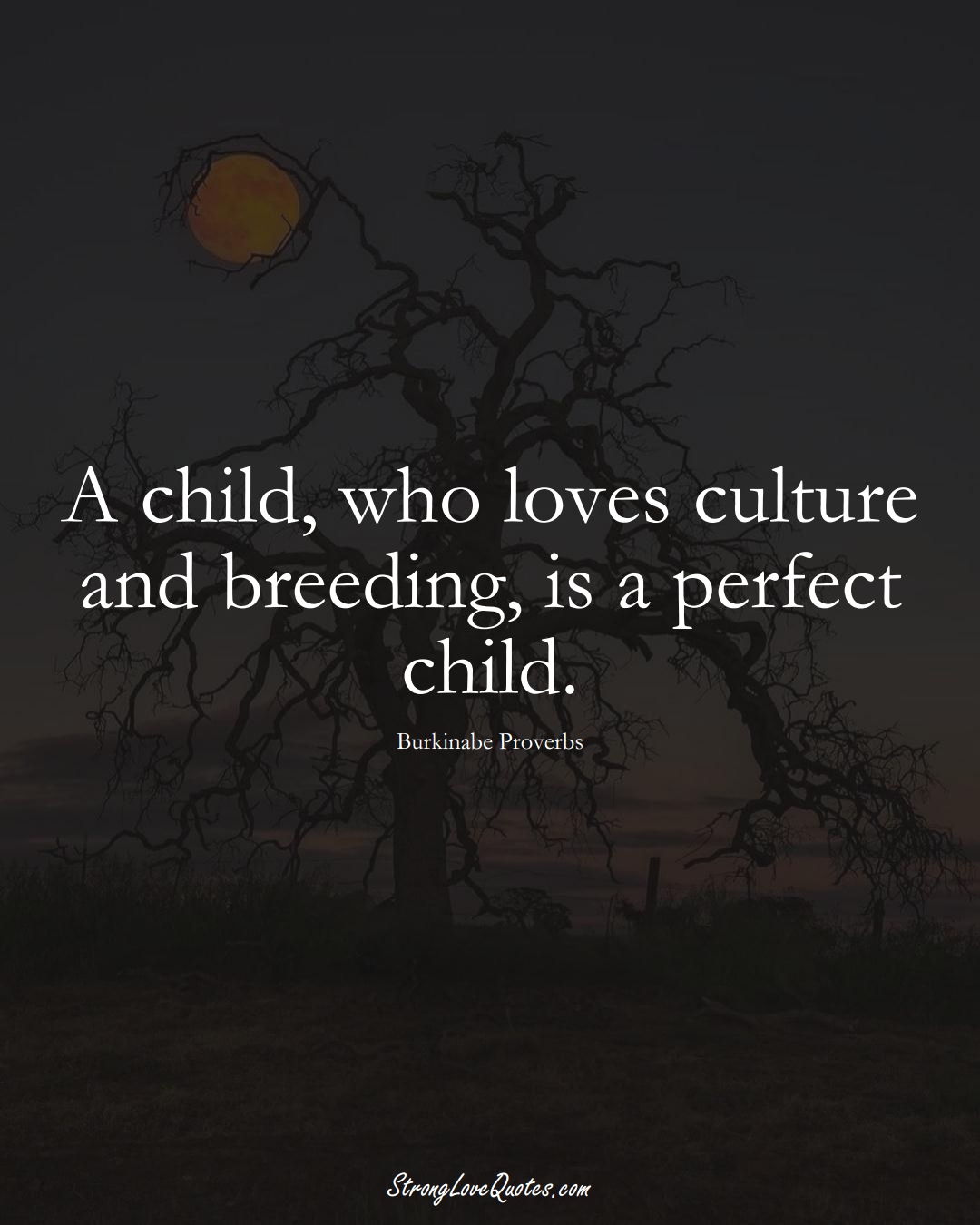 A child, who loves culture and breeding, is a perfect child. (Burkinabe Sayings);  #AfricanSayings