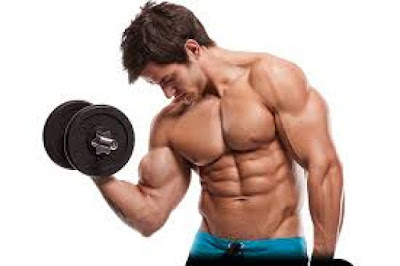 Awesome Upper Body Muscle Building Exercises