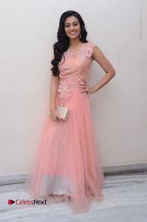 Actress Neha Hinge Stills in Pink Long Dress at Srivalli Teaser Launch  0155.JPG