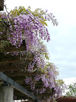 海之中道公園以及其交通 Uminaka Park & Transportation