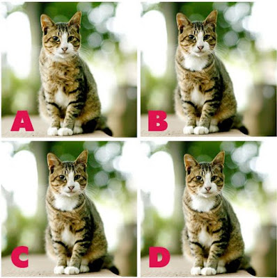 Which image is different? image 8