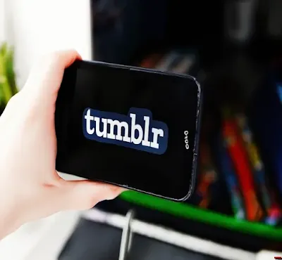 How to Adjust Tumblr Visibility Settings