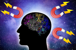 Brain attraction with magnets
