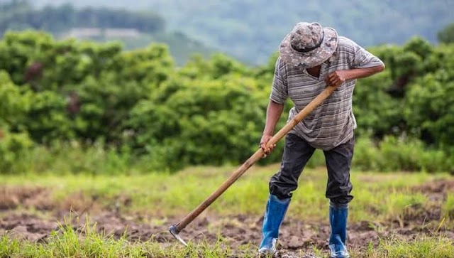 CHAPÉU DE PALHA: Programa terá aumento de 38% nos repasses aos trabalhadores rurais