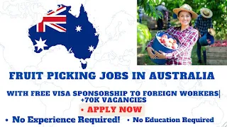 Fruit Picking Jobs with Visa Sponsorship Australia