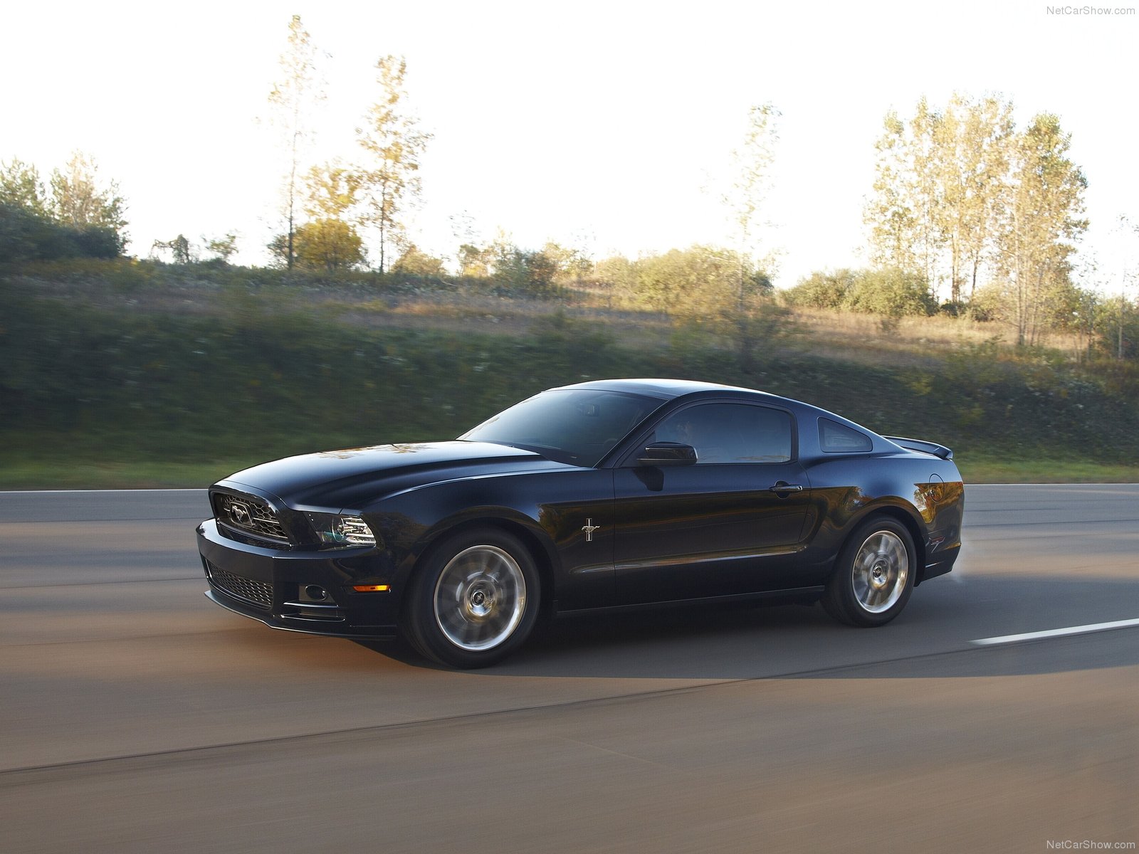 Dream Cars: Ford Mustang 2013