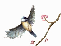 Watercolor Paintings Of Birds