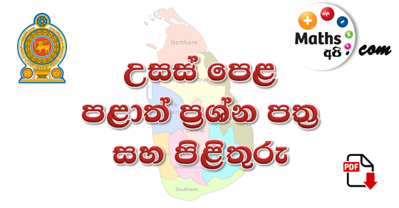 accounting provincial 3rd term papers sinhala medium