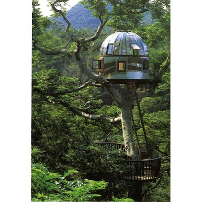 coolest hanging Tree Houses