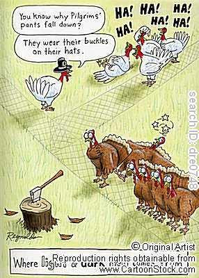 Funny Turkey Pictures