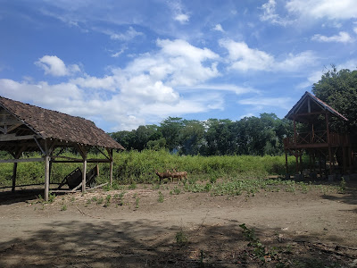 hutan lindung rusa maliran 